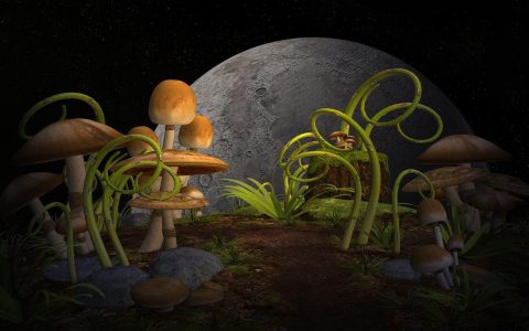 淘宝特价版营销准入规则是什么？